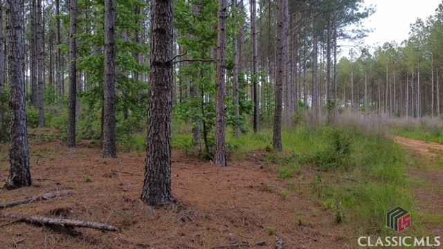 38 Cromer Road Elberton, GA 30635 - Photo 27 of 39