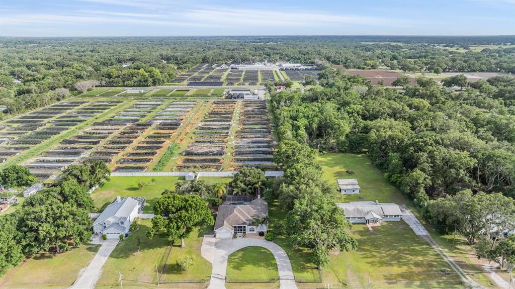 6411 Barton Road Plant City, FL 33565 - Photo 42 of 46 Gallery Image 42