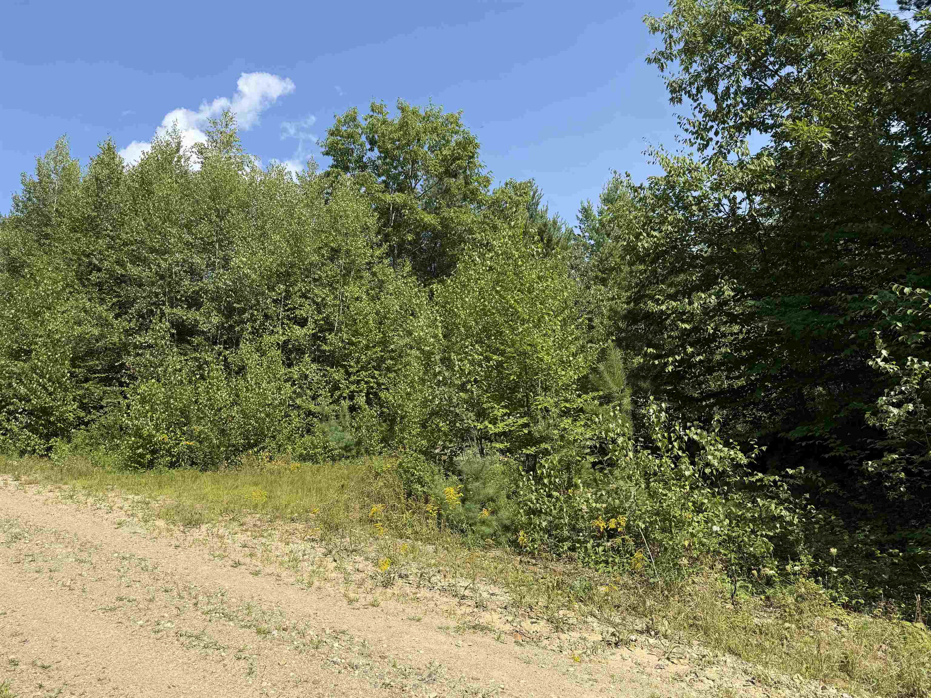 0 Parkey Road Barnstead, NH 03218 - Photo 1 of 11 Gallery Image 1