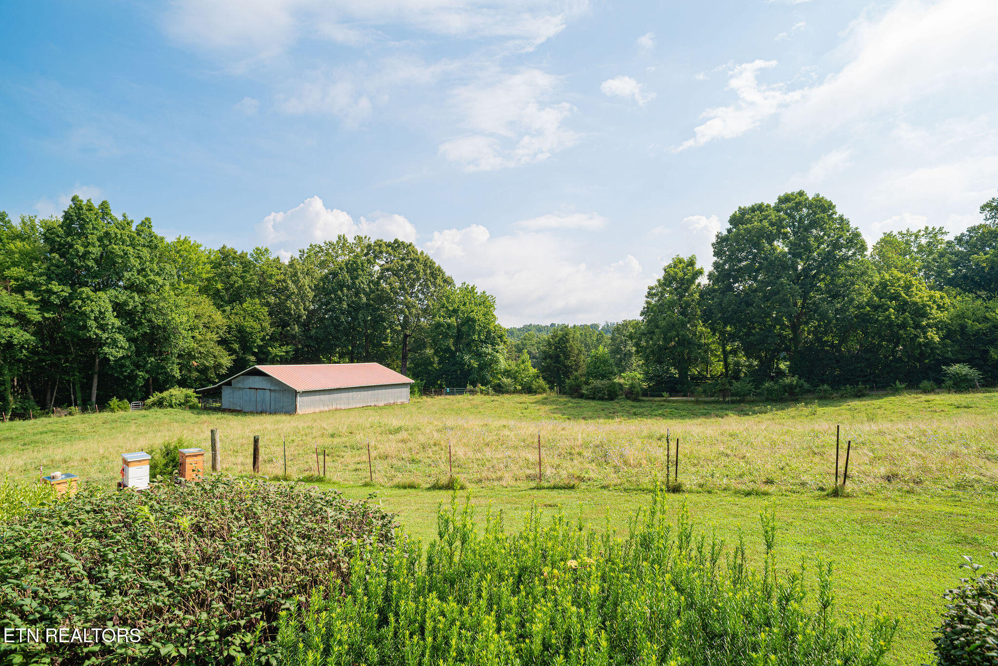 250 Burkhart Road Maynardville, TN 37807 - Photo 34 of 49 Front Porch View