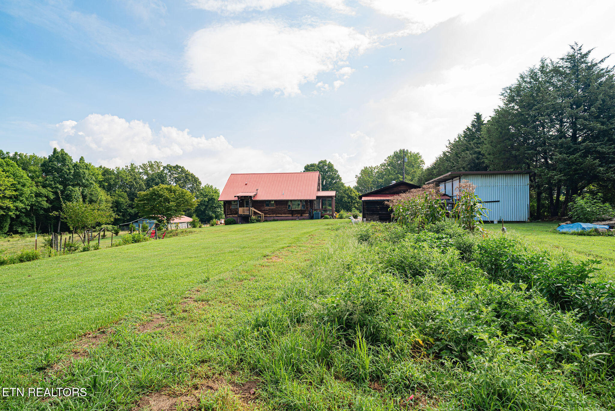 250 Burkhart Road Maynardville, TN 37807 - Photo 37 of 49 Back View