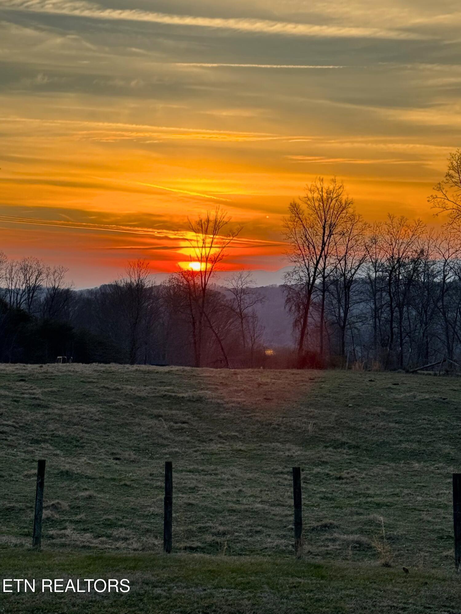 250 Burkhart Road Maynardville, TN 37807 - Photo 45 of 49 250 Burkhart Rd