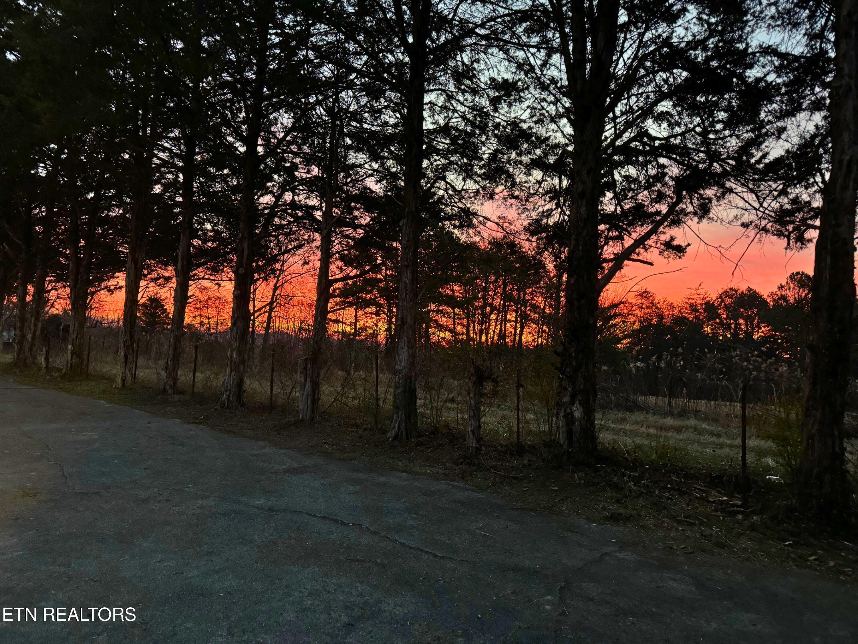 250 Burkhart Road Maynardville, TN 37807 - Photo 46 of 49 250 Burkhart Rd