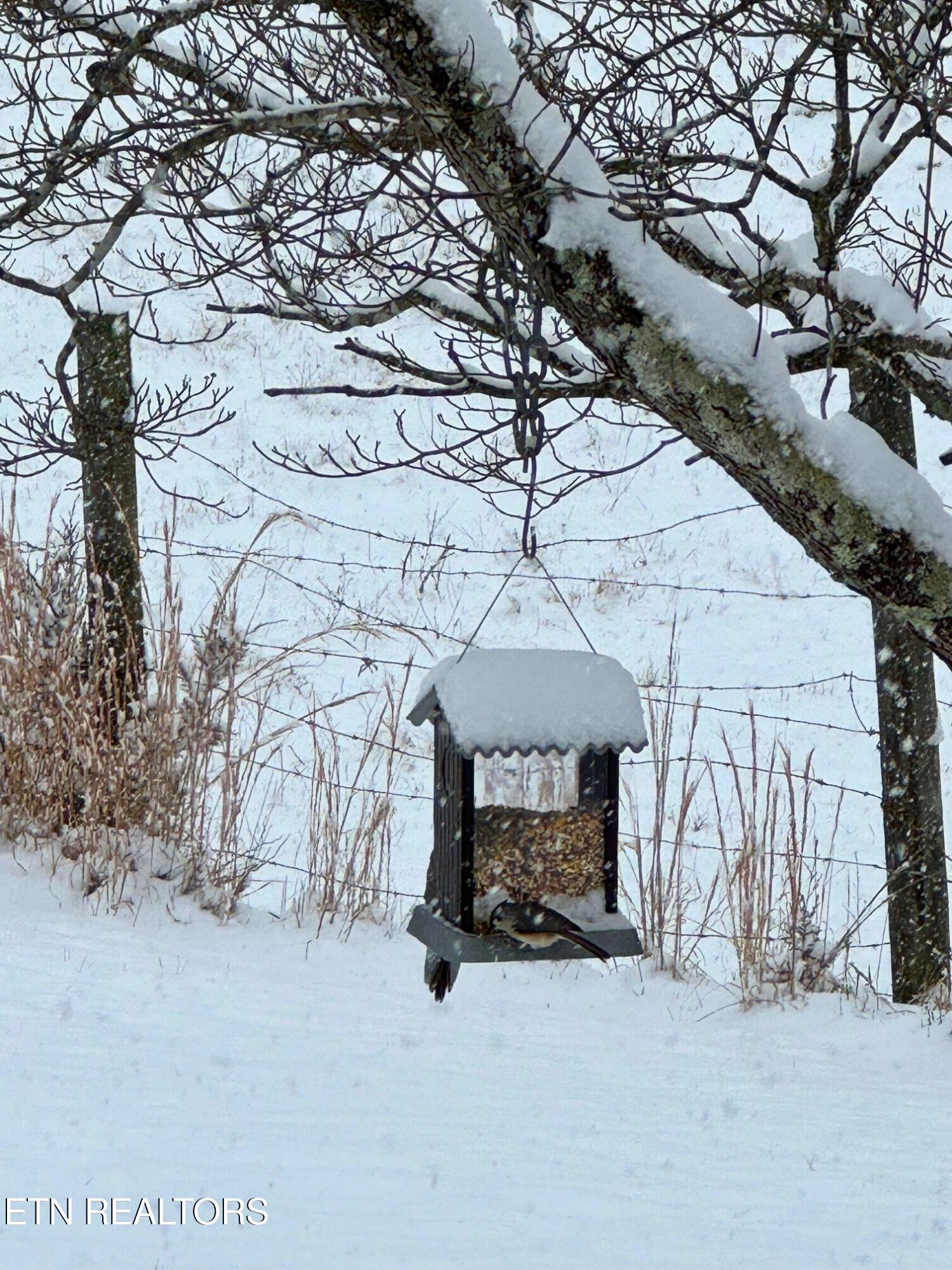 250 Burkhart Road Maynardville, TN 37807 - Photo 47 of 49 250 Burkhart Rd