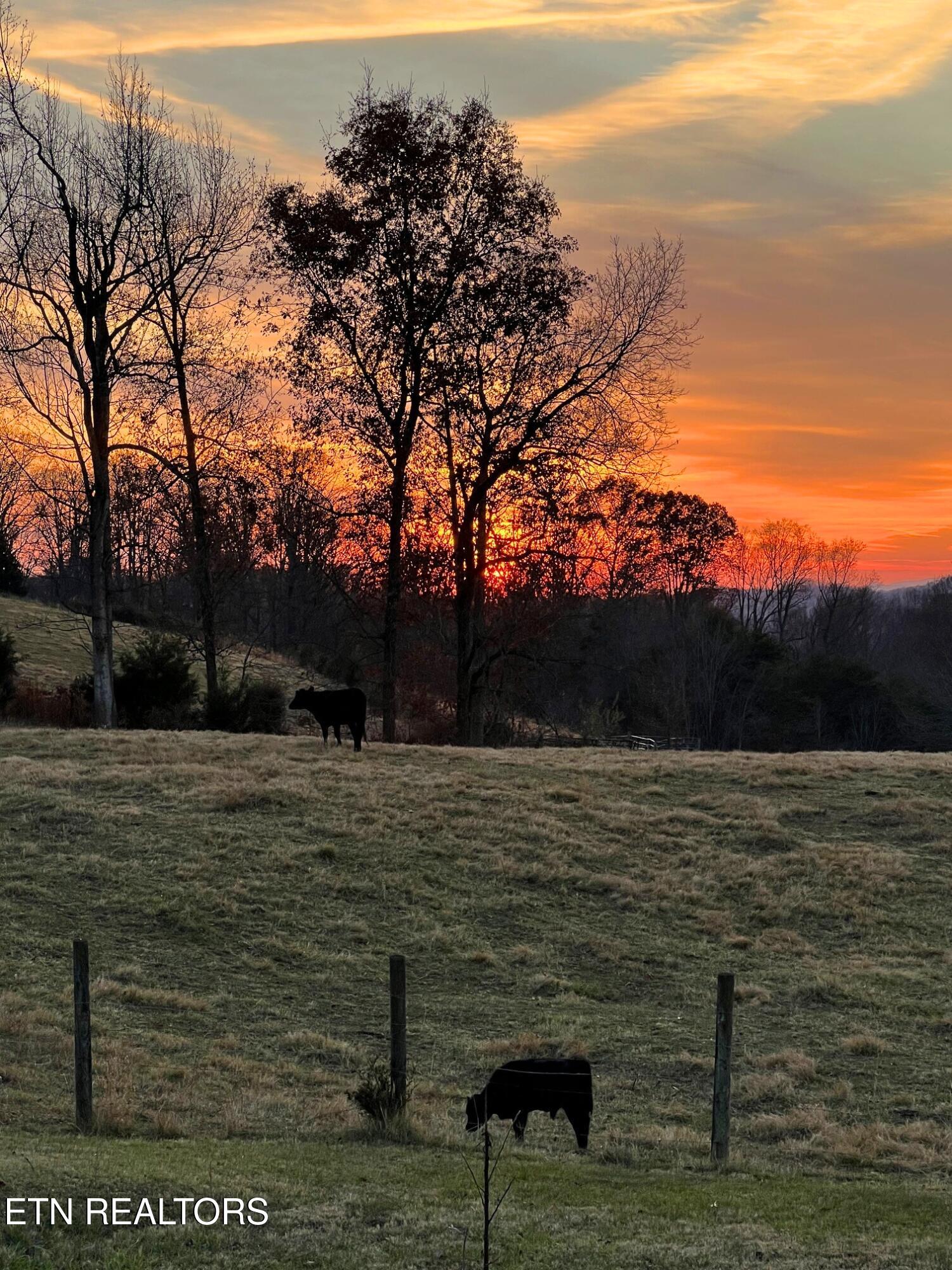 250 Burkhart Road Maynardville, TN 37807 - Photo 48 of 49 250 Burkhart Rd