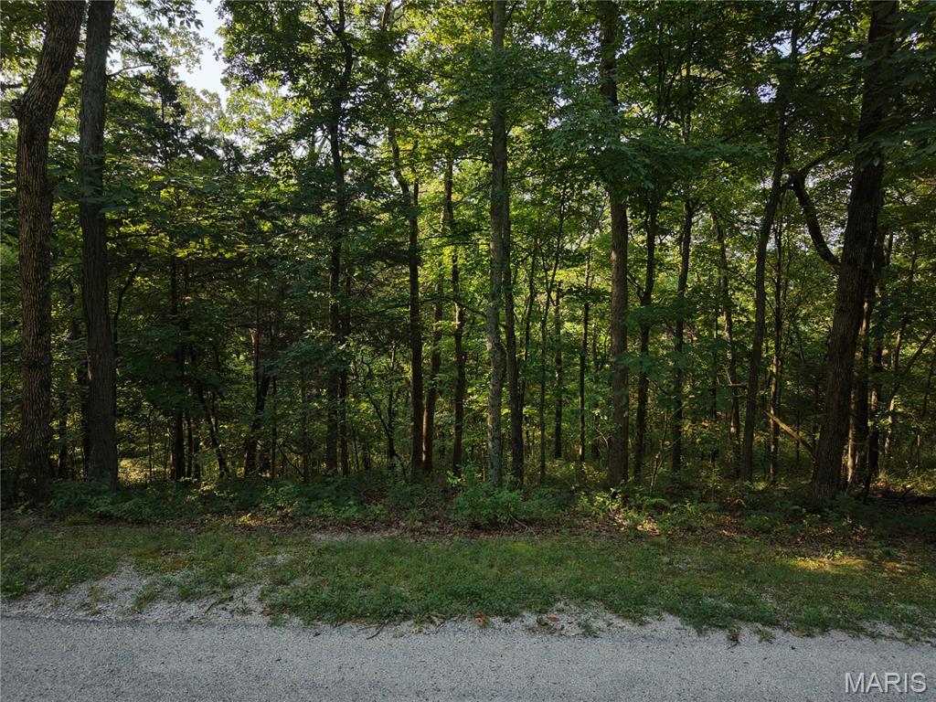 0 Fairfield Valley Road Pacific, MO 63069 - Photo 7 of 23 Gallery Image 7