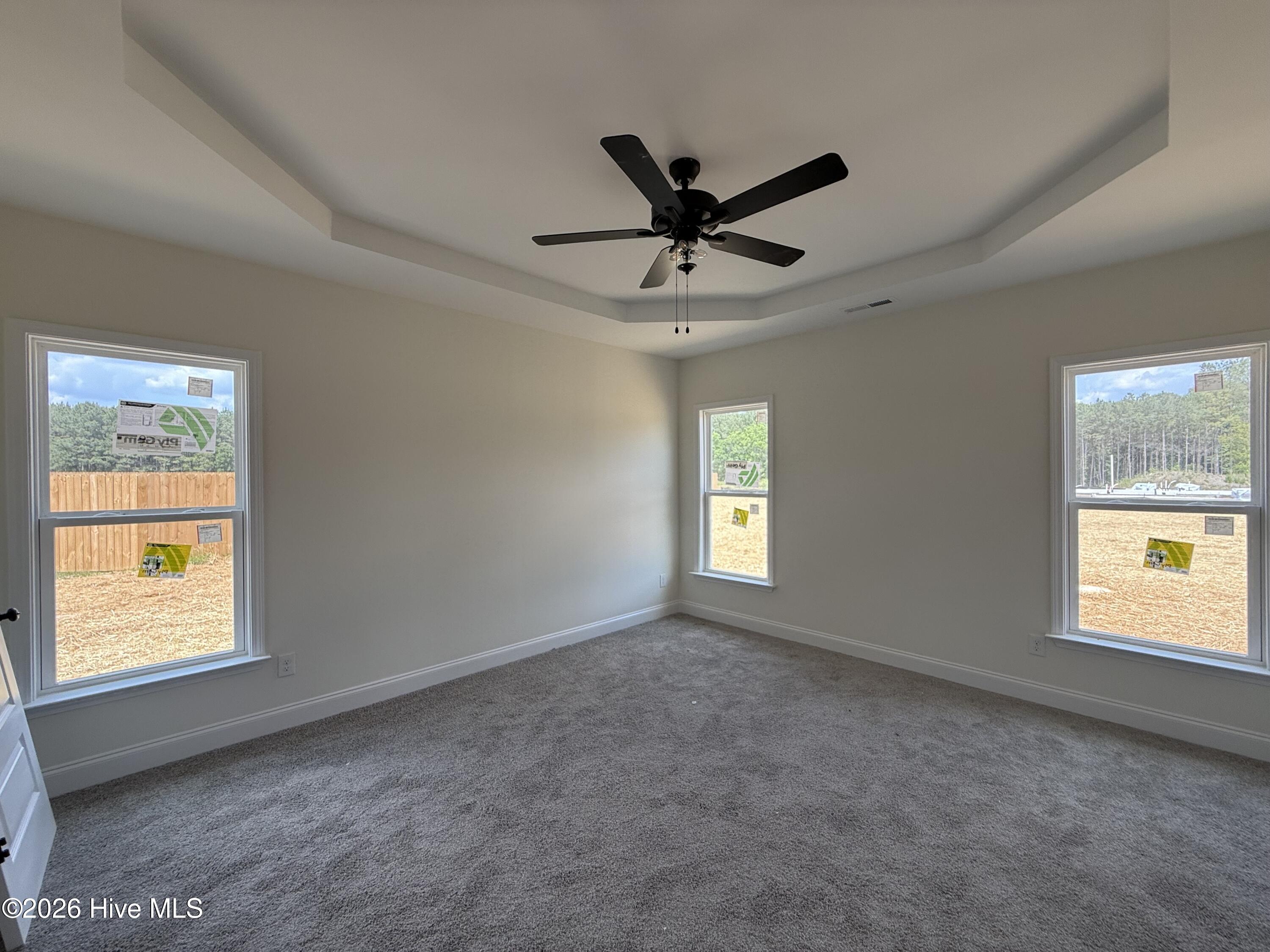 13 Sundrops Trail Dunn, NC 28334 - Photo 6 of 11 Current Stage of Construction - 5/21