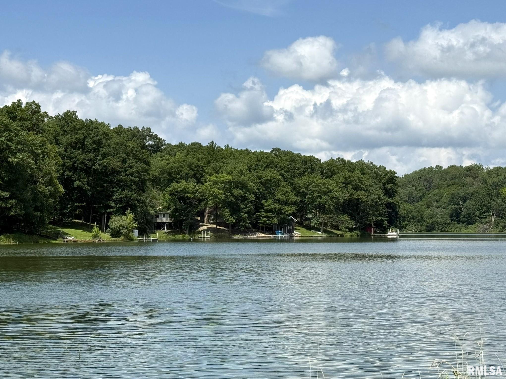 1674 Round House Lane Victoria, IL 61485 - Photo 5 of 50