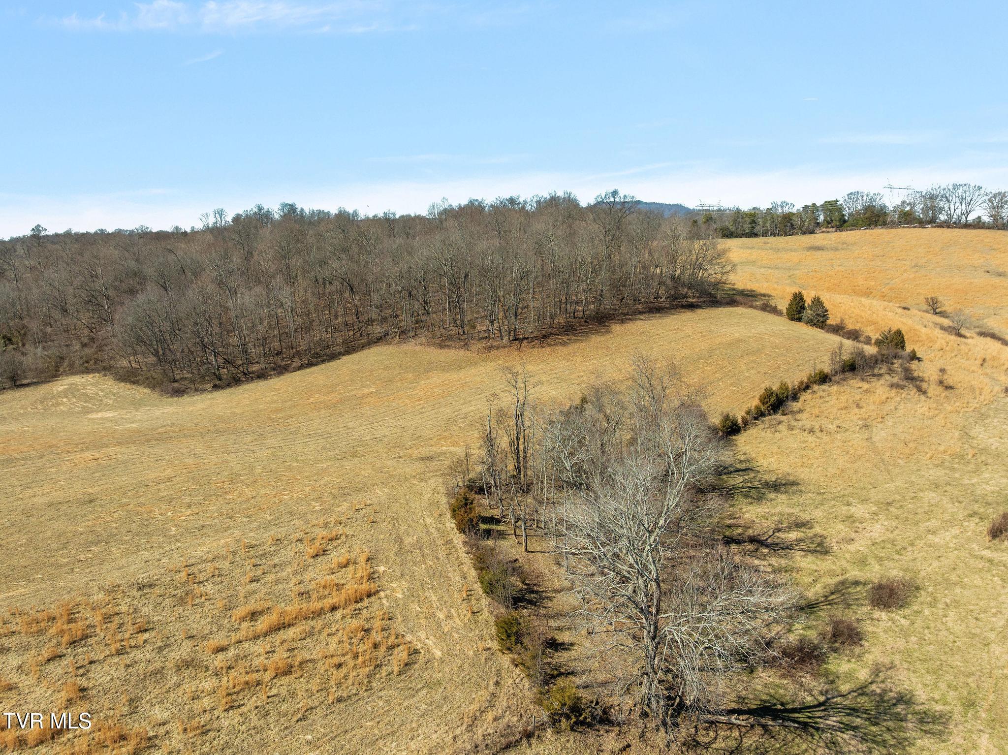 Lot 6 Tbd Tennessee 93 Fall Branch Fall Branch, TN 37656 - Photo 10 of 13 DJI_0948