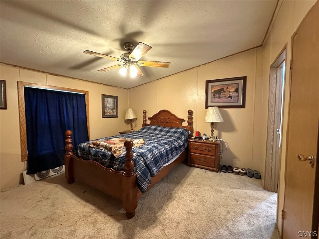 4339 Back River Road Amity, NY 14880 - Photo 20 of 34