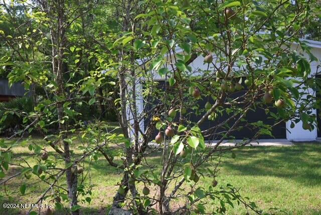 17927 Andrews Road Hilliard, FL 32046 - Photo 23 of 26 IMG_5304