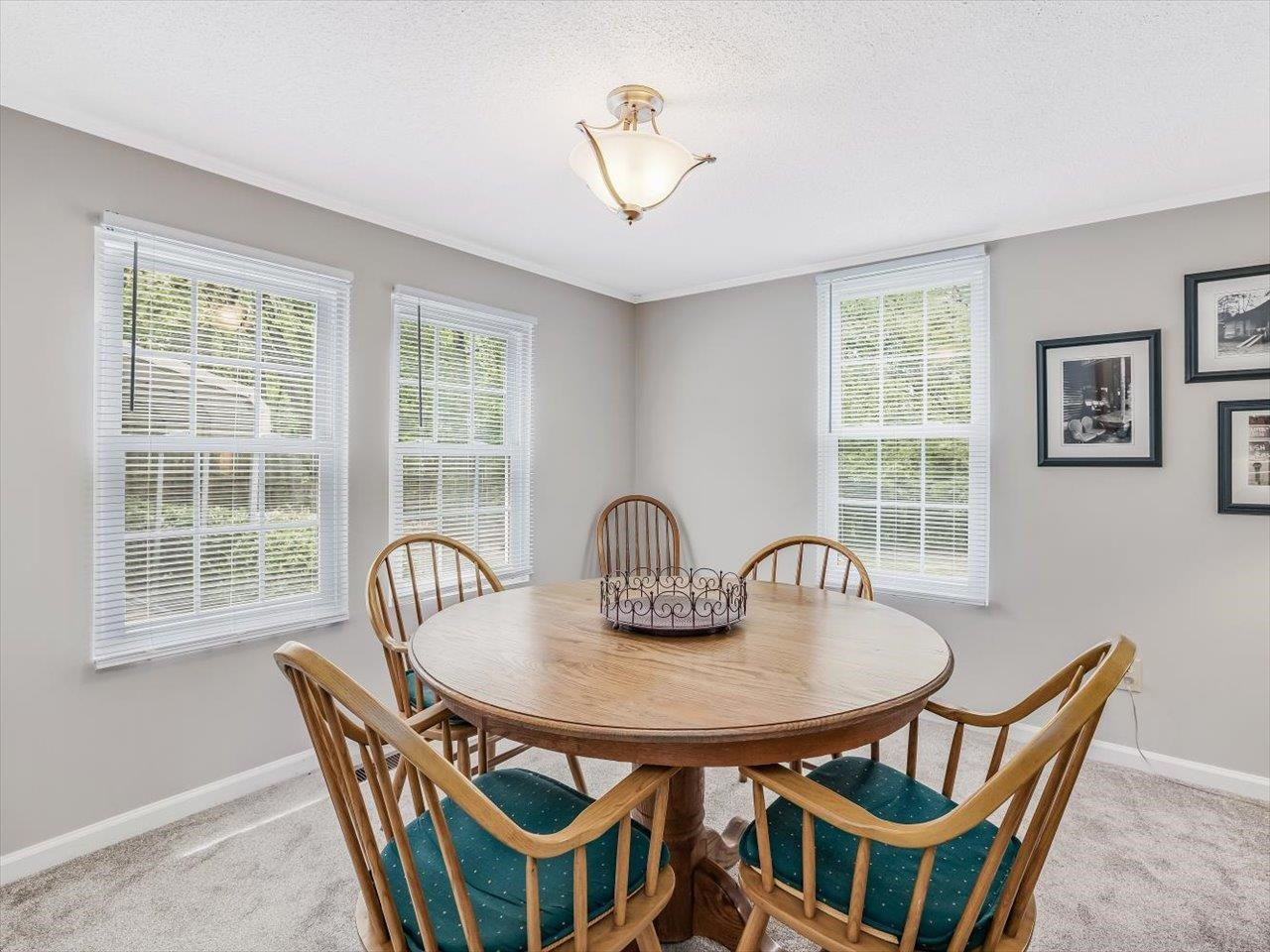 2955 Dewitt Smith Road Pittsboro, NC 27312 - Photo 8 of 50 Dining Room bright with natural light