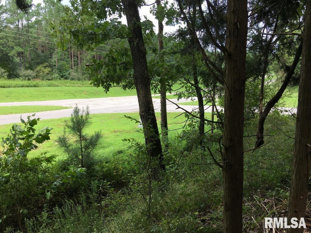 Lot 287 Parrish Ridge Lane Goreville, IL 62939 - Photo 16 of 17 a view of a field with a tree