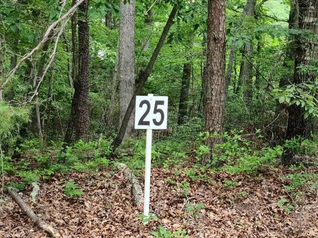 $42,753 | Lot 25 Belle Isle Drive, Union Hall, VA 24176