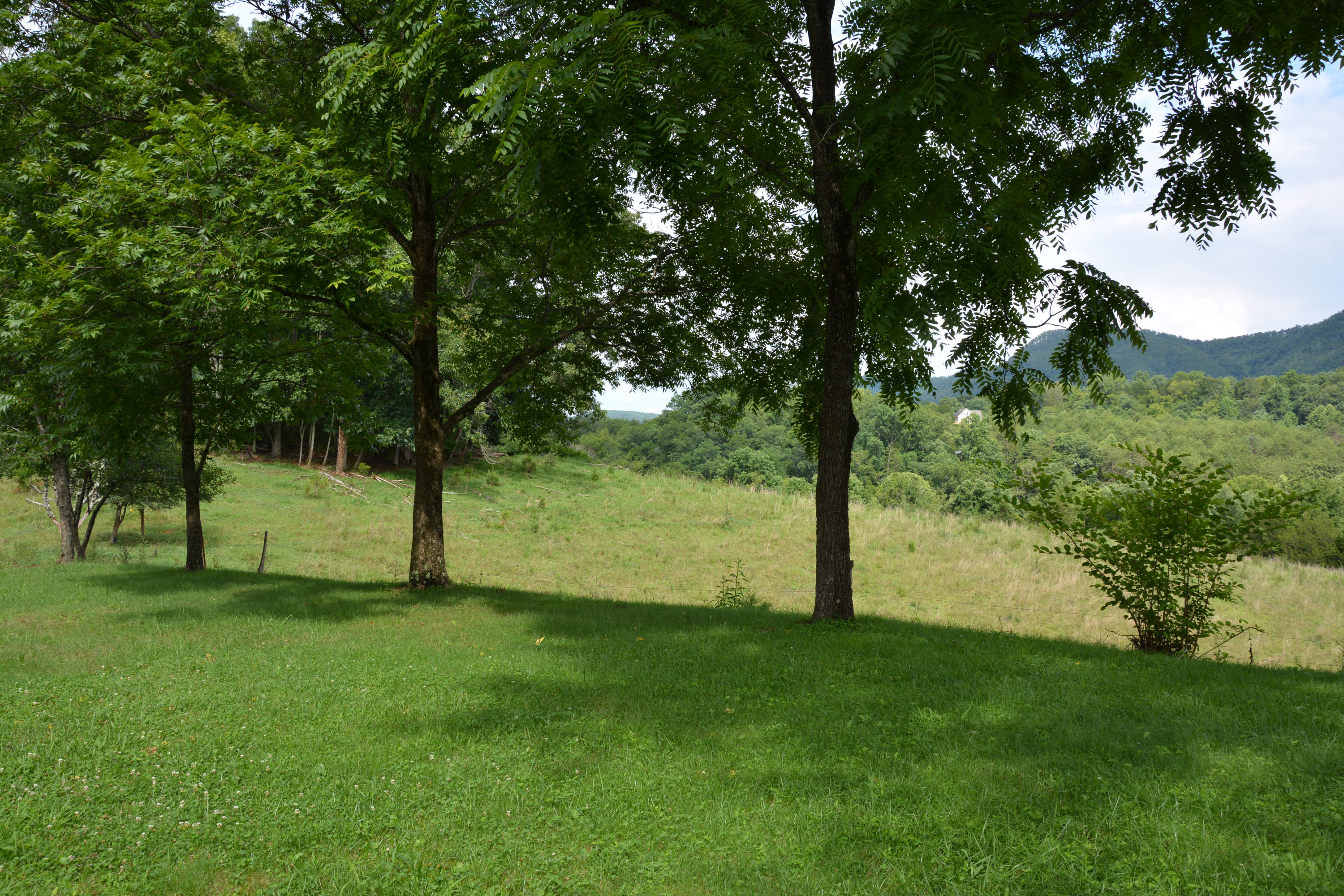 1605 McCarter Hollow Road Sevierville, TN 37862 - Photo 4 of 20 DSC_1568