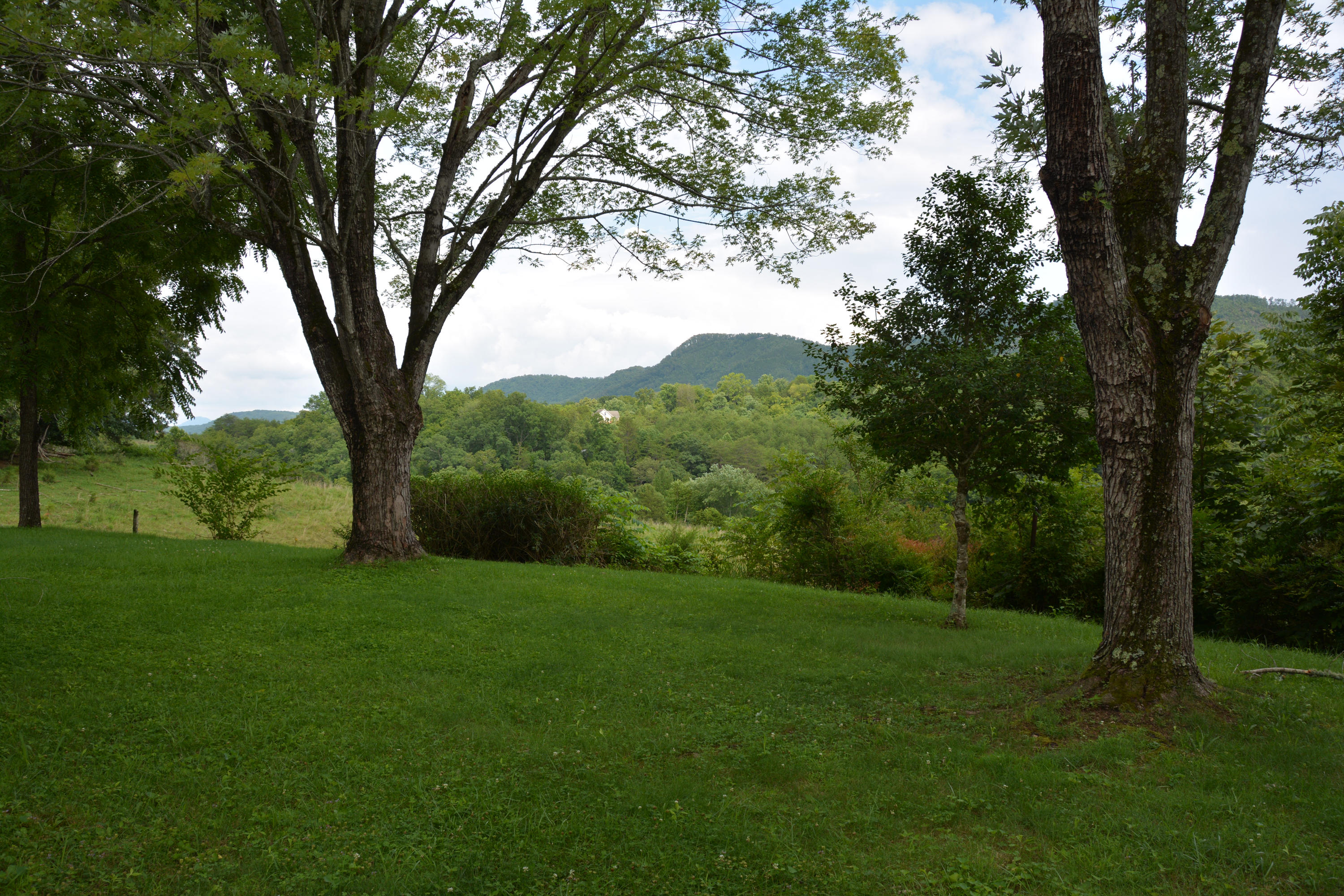 1605 McCarter Hollow Road Sevierville, TN 37862 - Photo 5 of 20 DSC_1564