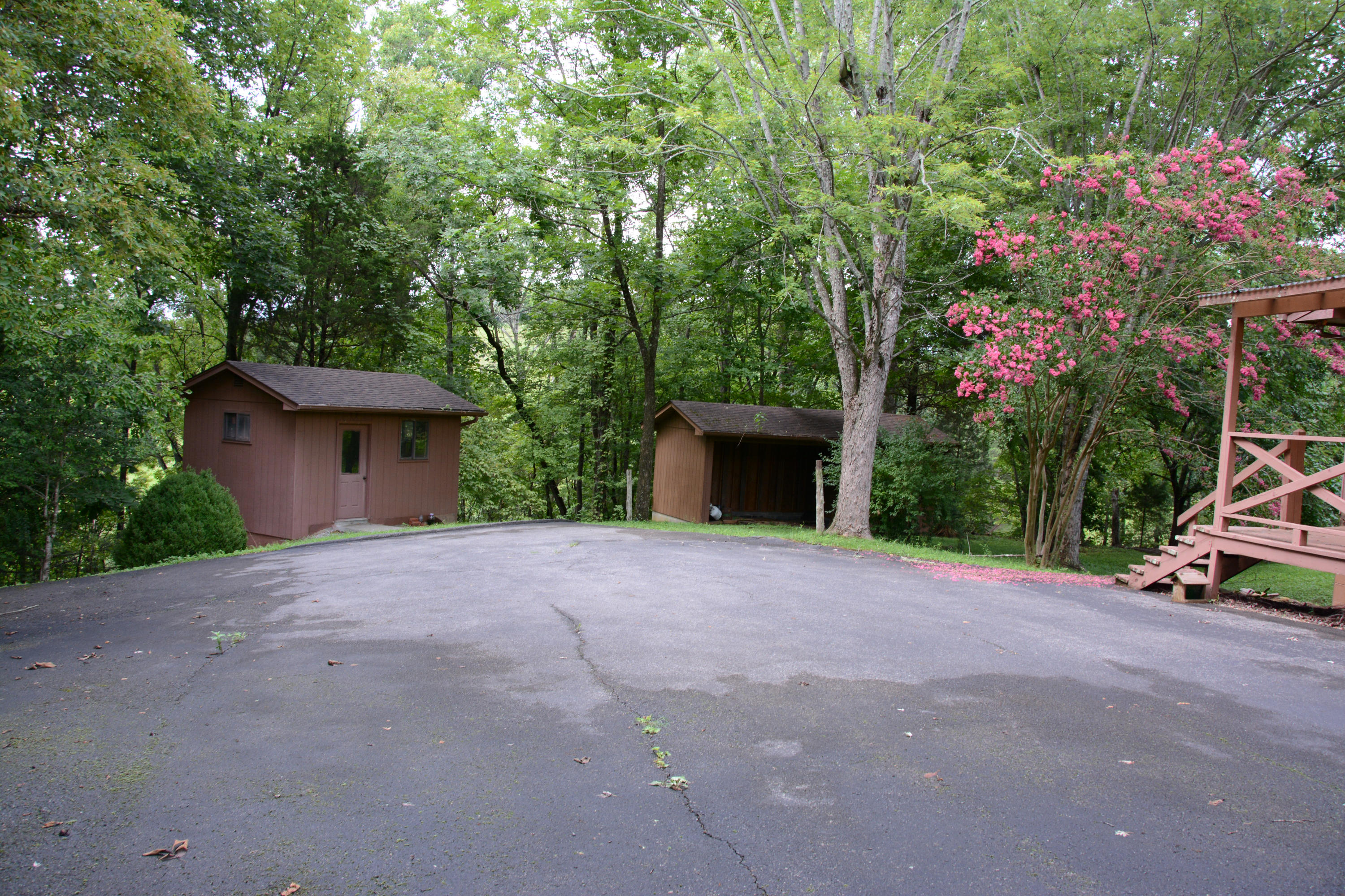 1605 McCarter Hollow Road Sevierville, TN 37862 - Photo 7 of 20 DSC_1560