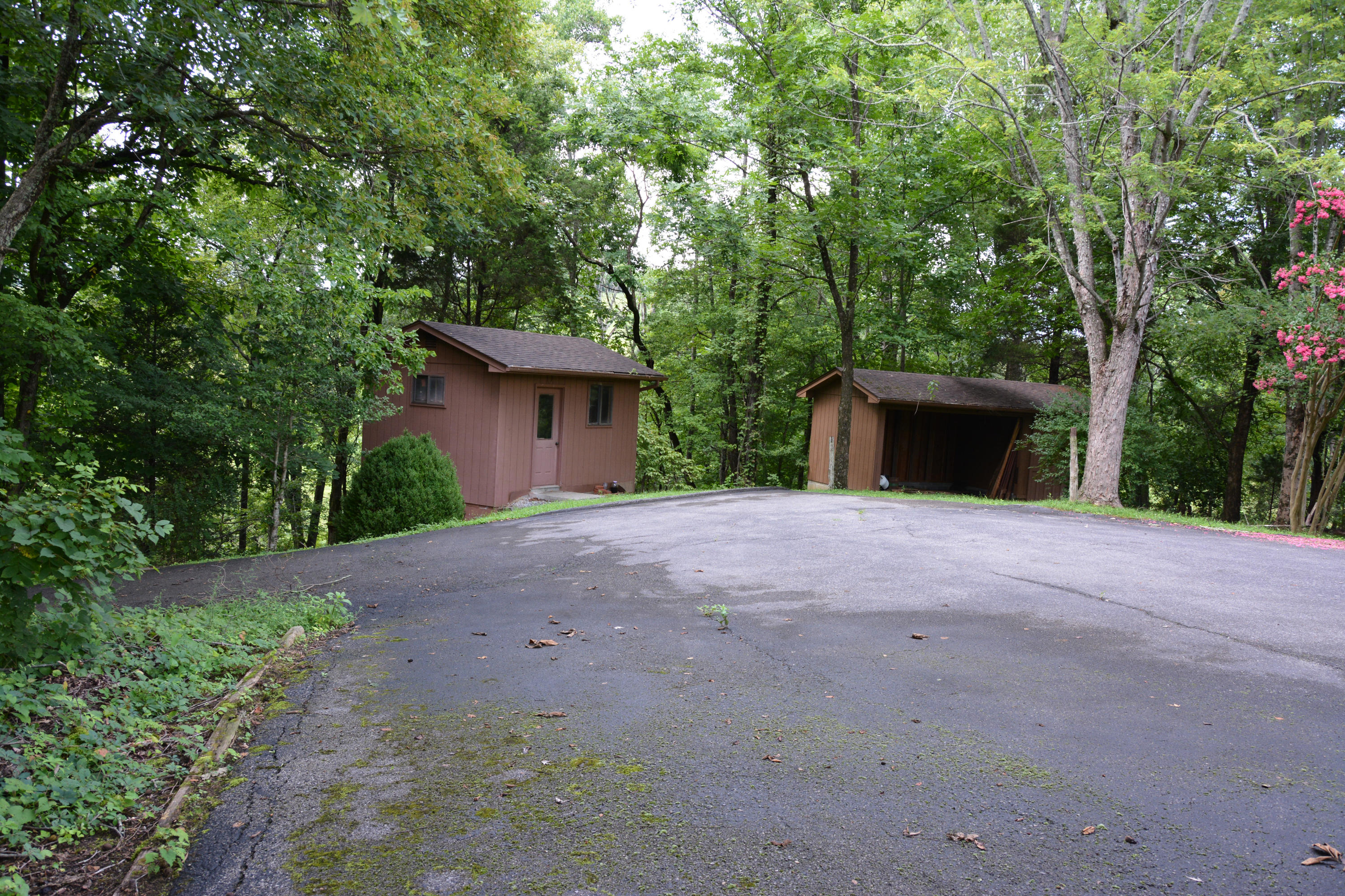 1605 McCarter Hollow Road Sevierville, TN 37862 - Photo 8 of 20 DSC_1559