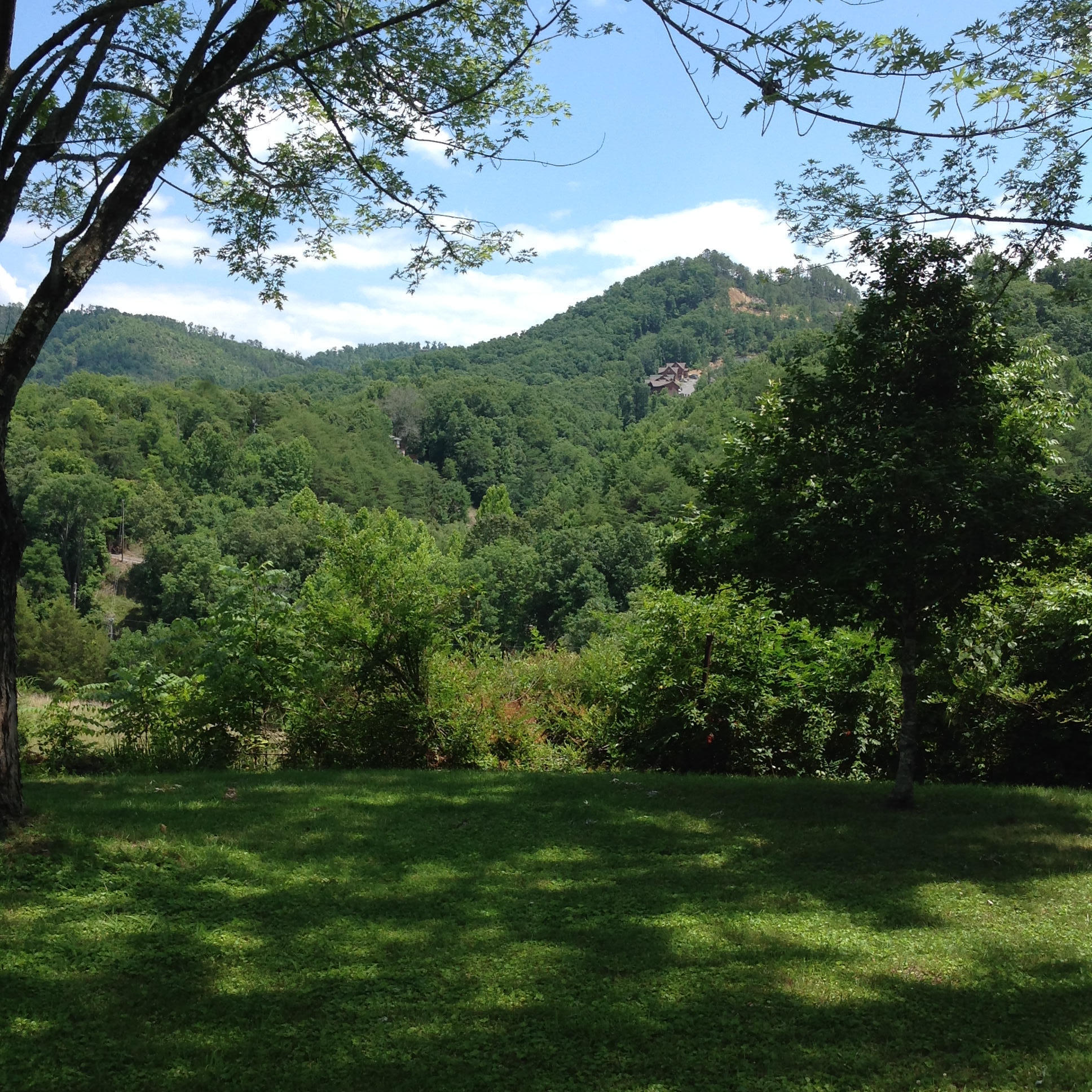1605 McCarter Hollow Road Sevierville, TN 37862 - Photo 10 of 20 photo 1