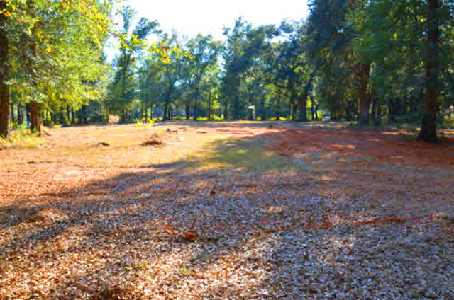 14791 County Road 26 Foley, AL 36535 - Photo 2 of 2