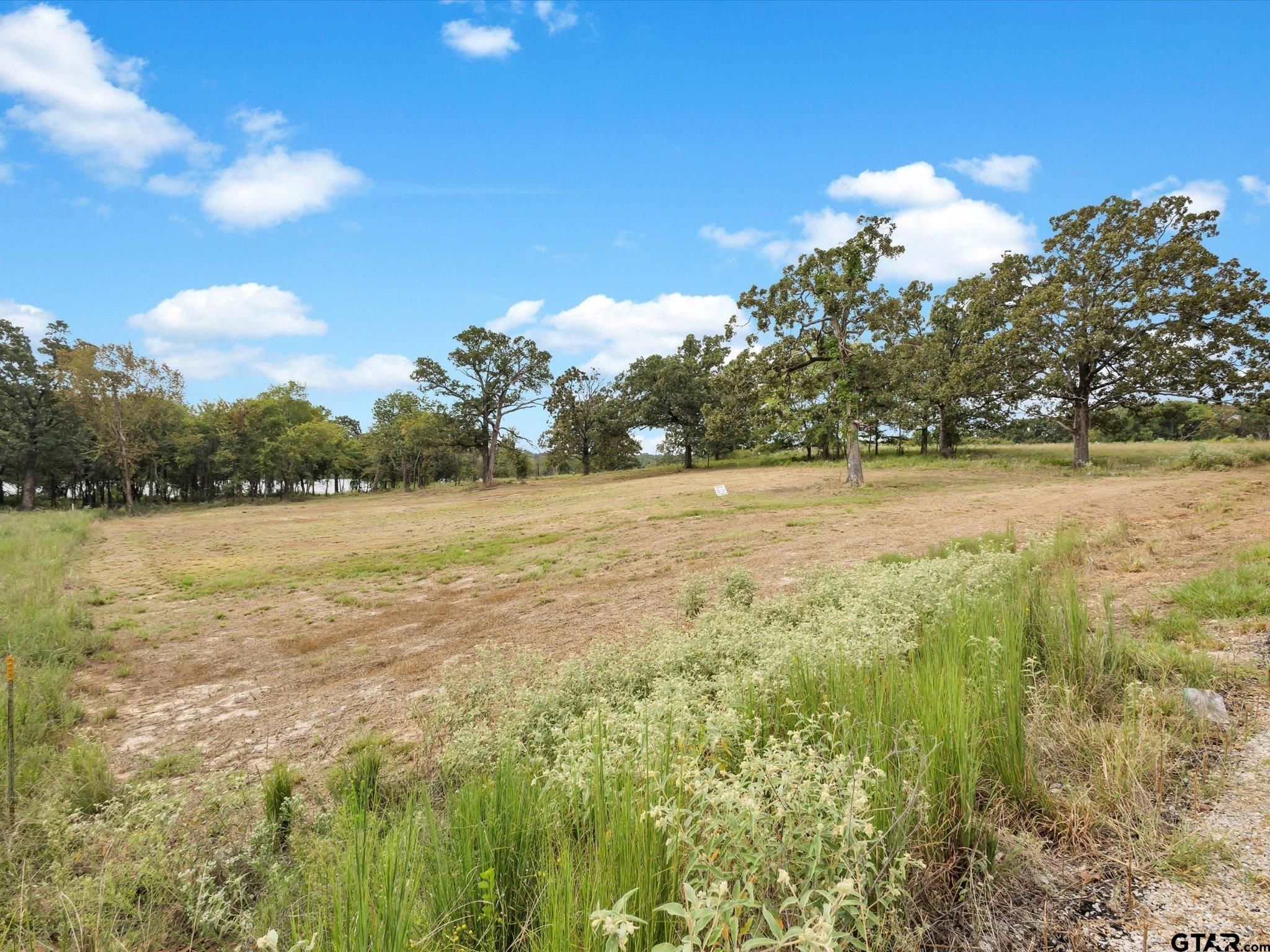 Tbd Tbd Anglers Point Emory, TX 75440 - Photo 6 of 27