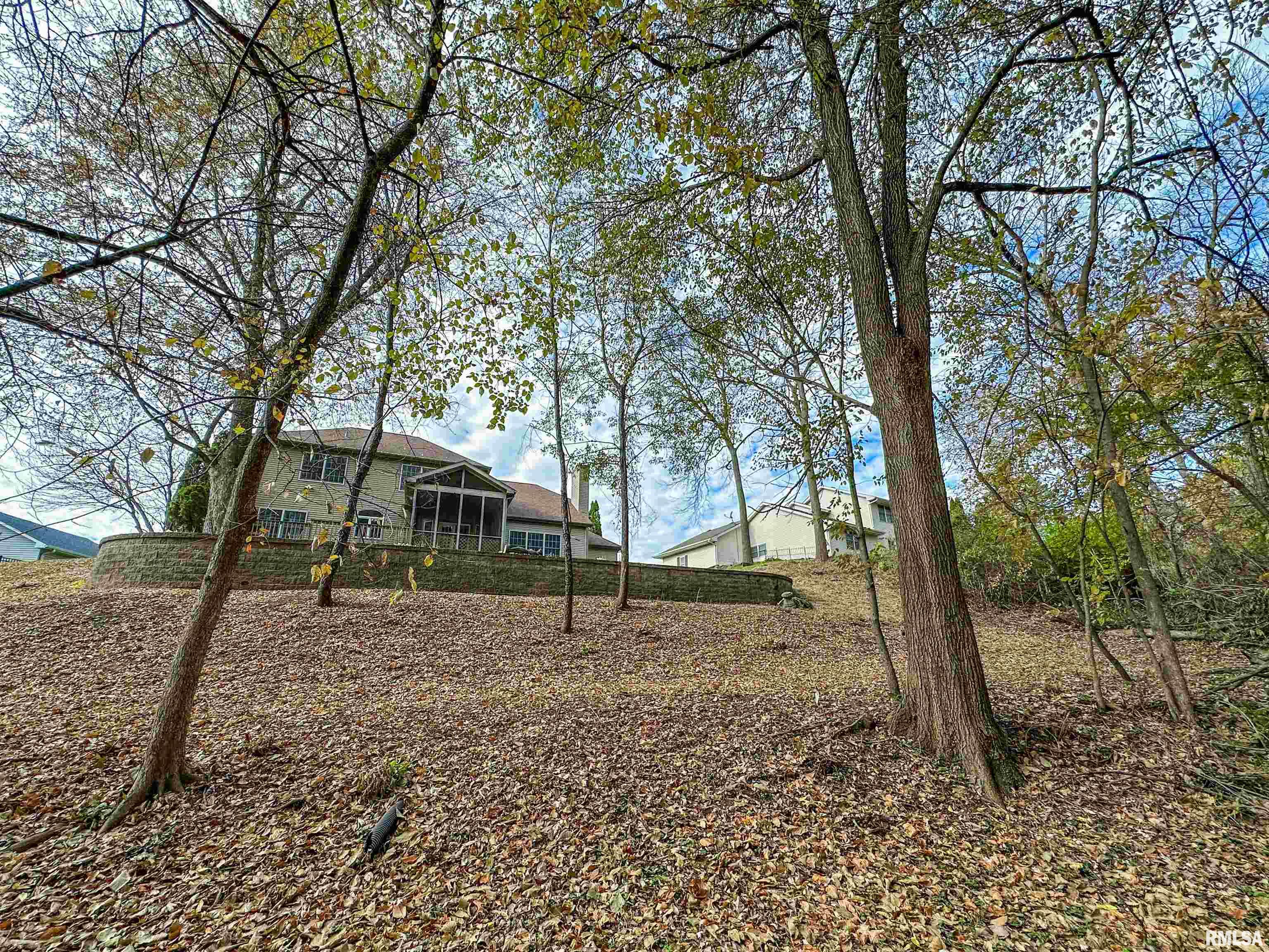 5116 North Rothmere Drive Peoria, IL 61615 - Photo 54 of 56