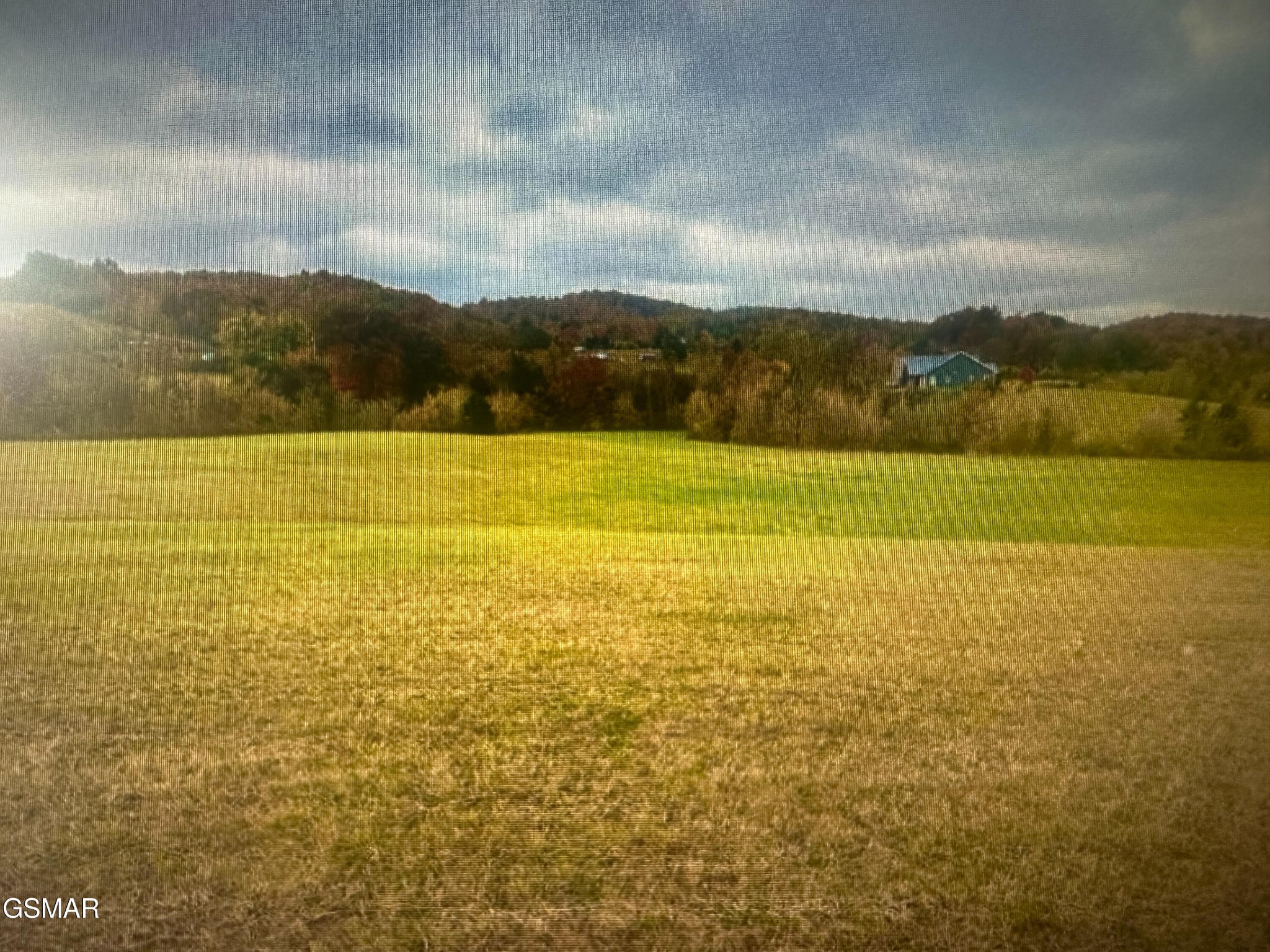 252 Toppy Russell Lane Speedwell, TN 37870 - Photo 4 of 6