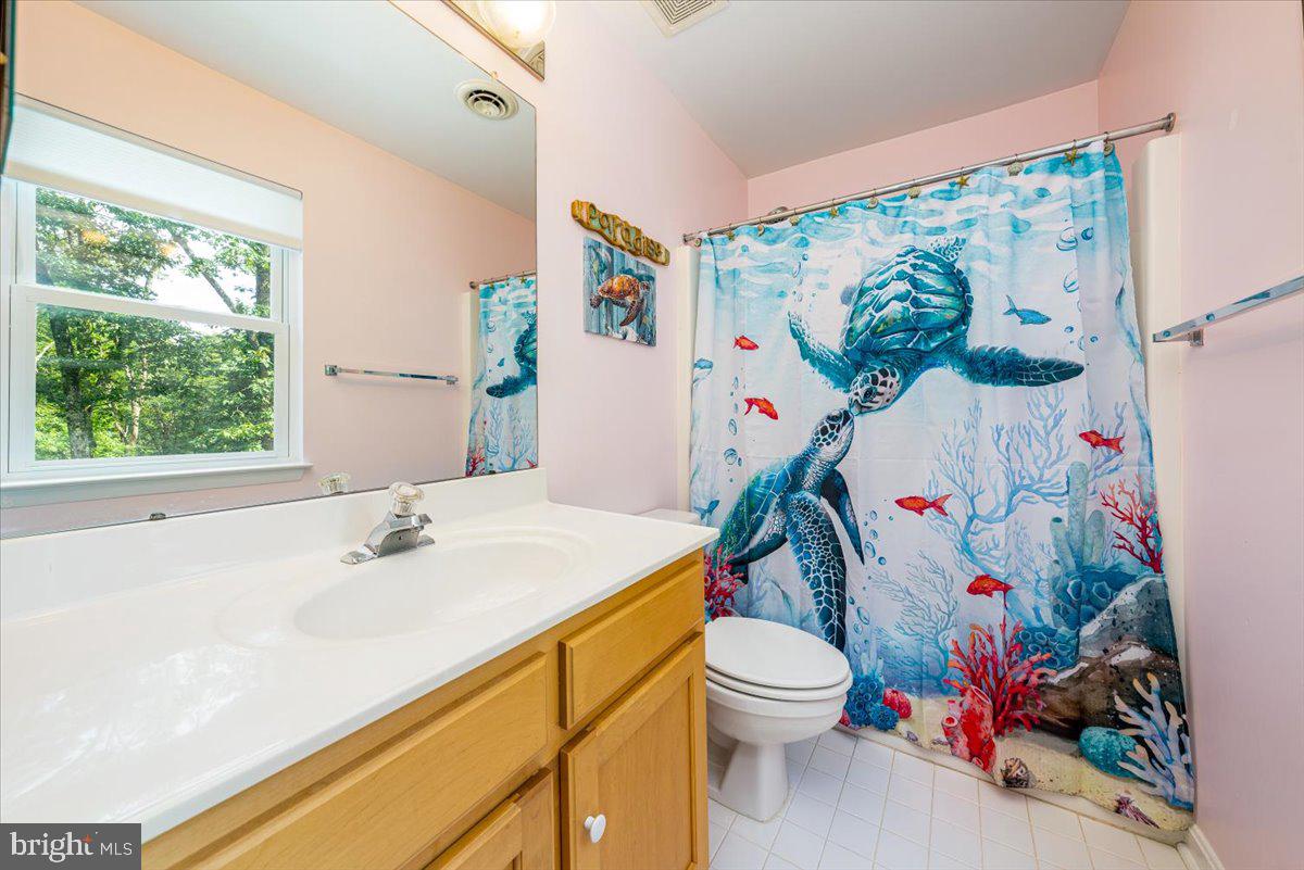 8301 Mapleville Road Mount Airy, MD 21771 - Photo 39 of 53 Hall bath