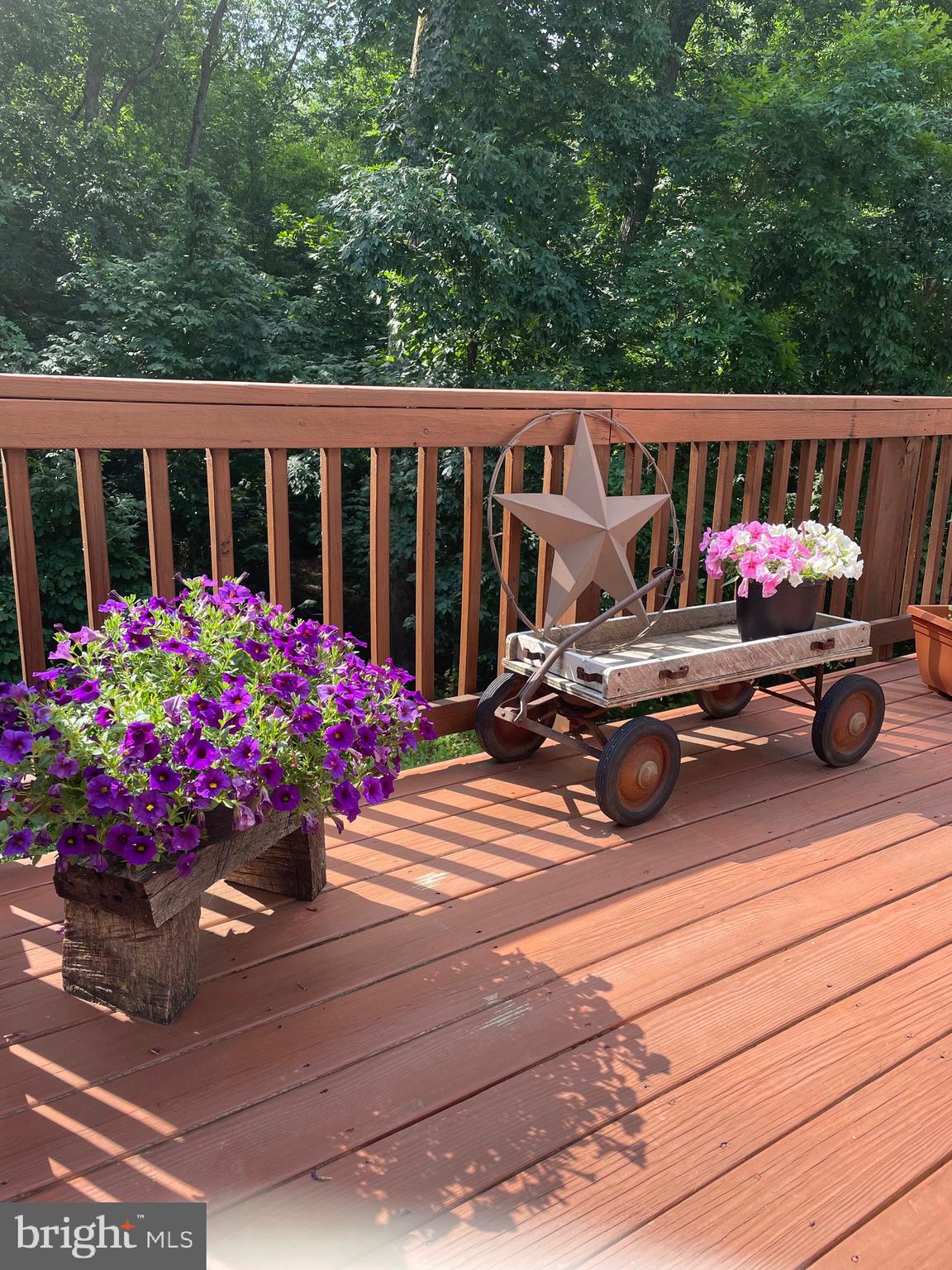 8301 Mapleville Road Mount Airy, MD 21771 - Photo 49 of 53