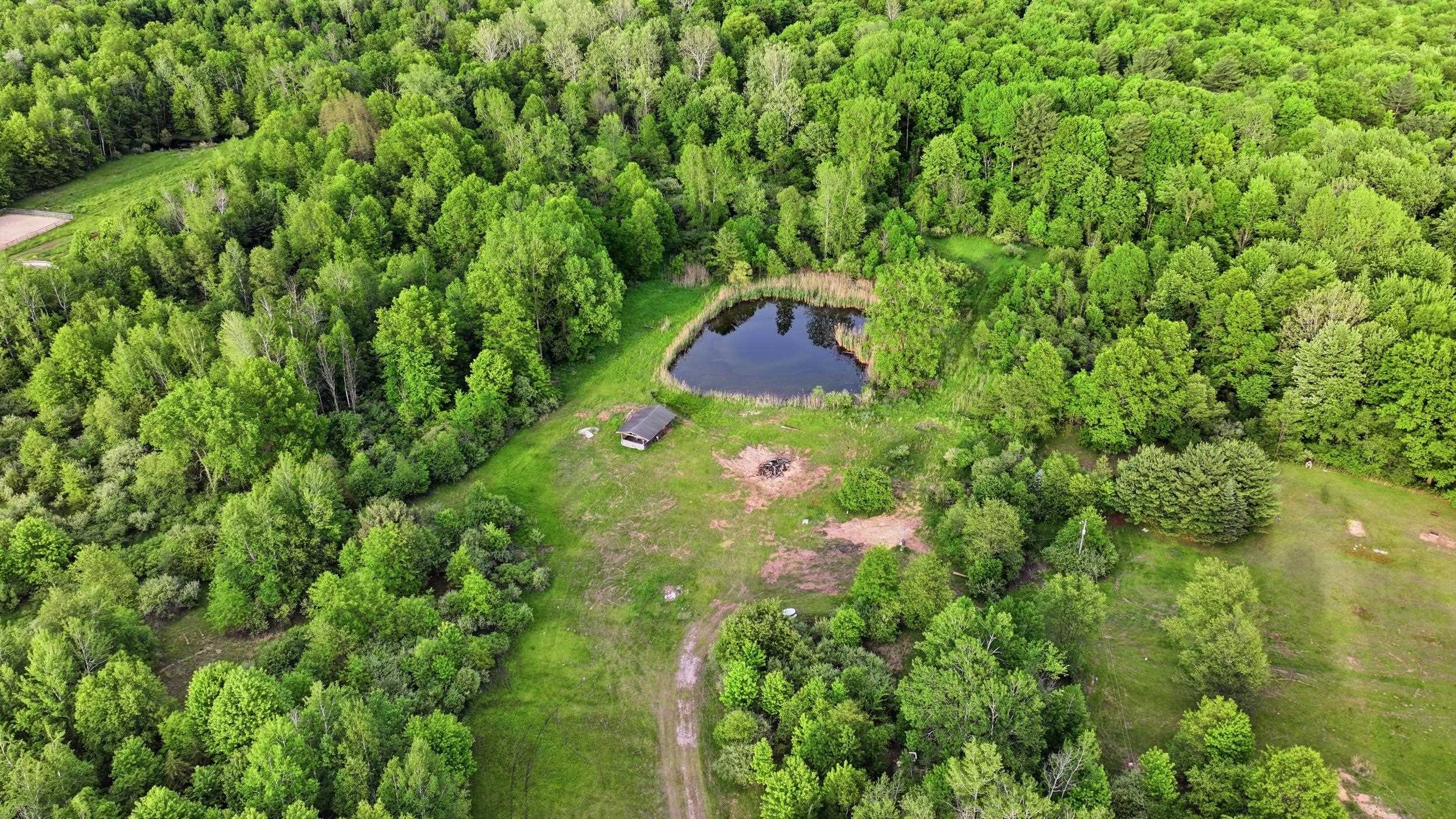 Vl South Chapin Road Elsie, MI 48831 - Photo 24 of 26
