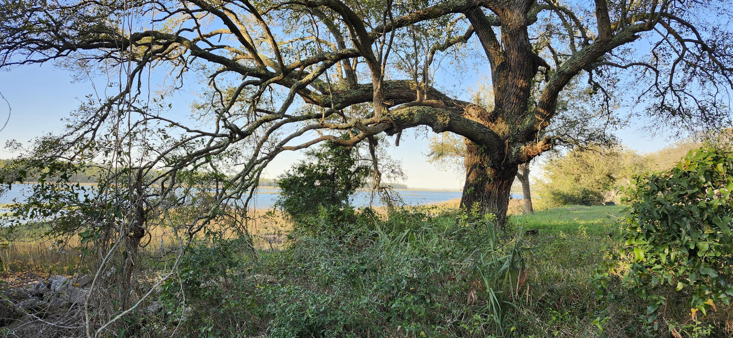 2107 State Rd S-10-432 Charleston, SC 29412 - Photo 9 of 15 A