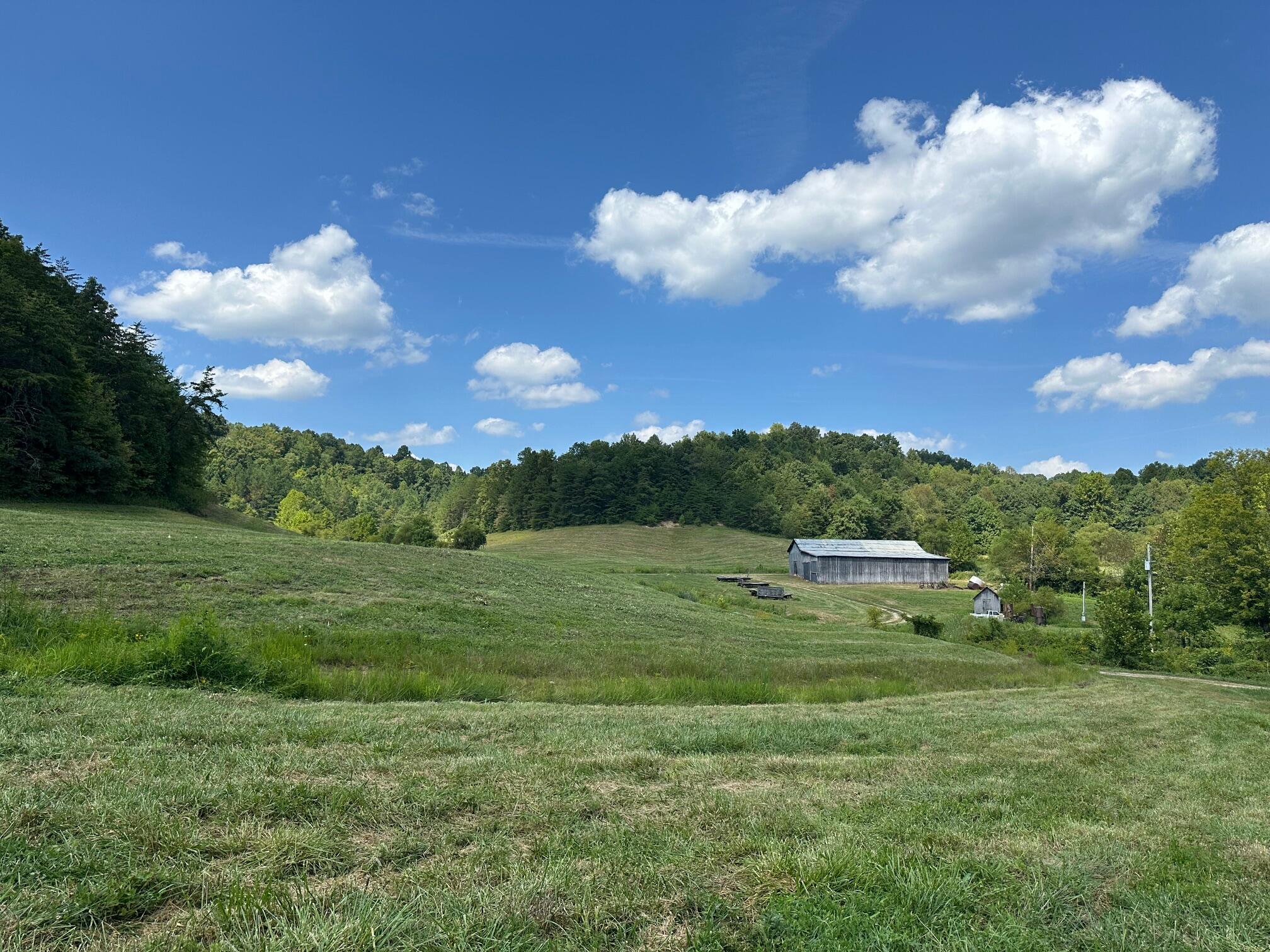 10 Elbert Shepherd Road London, KY 40741 - Photo 40 of 40 IMG_6907