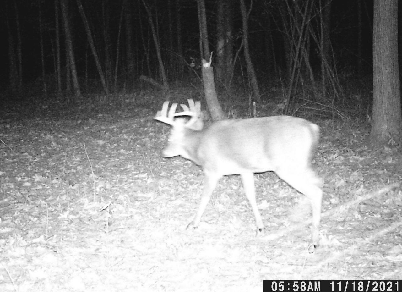 Off Walnut Road Kennan, WI 54537 - Photo 6 of 24 Gallery Image 6