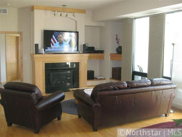 312 Spring Street, Unit 403 St. Paul, MN 55102 - Photo 3 of 16 Gallery Image 3