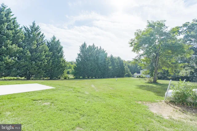 a view of field with trees in the background