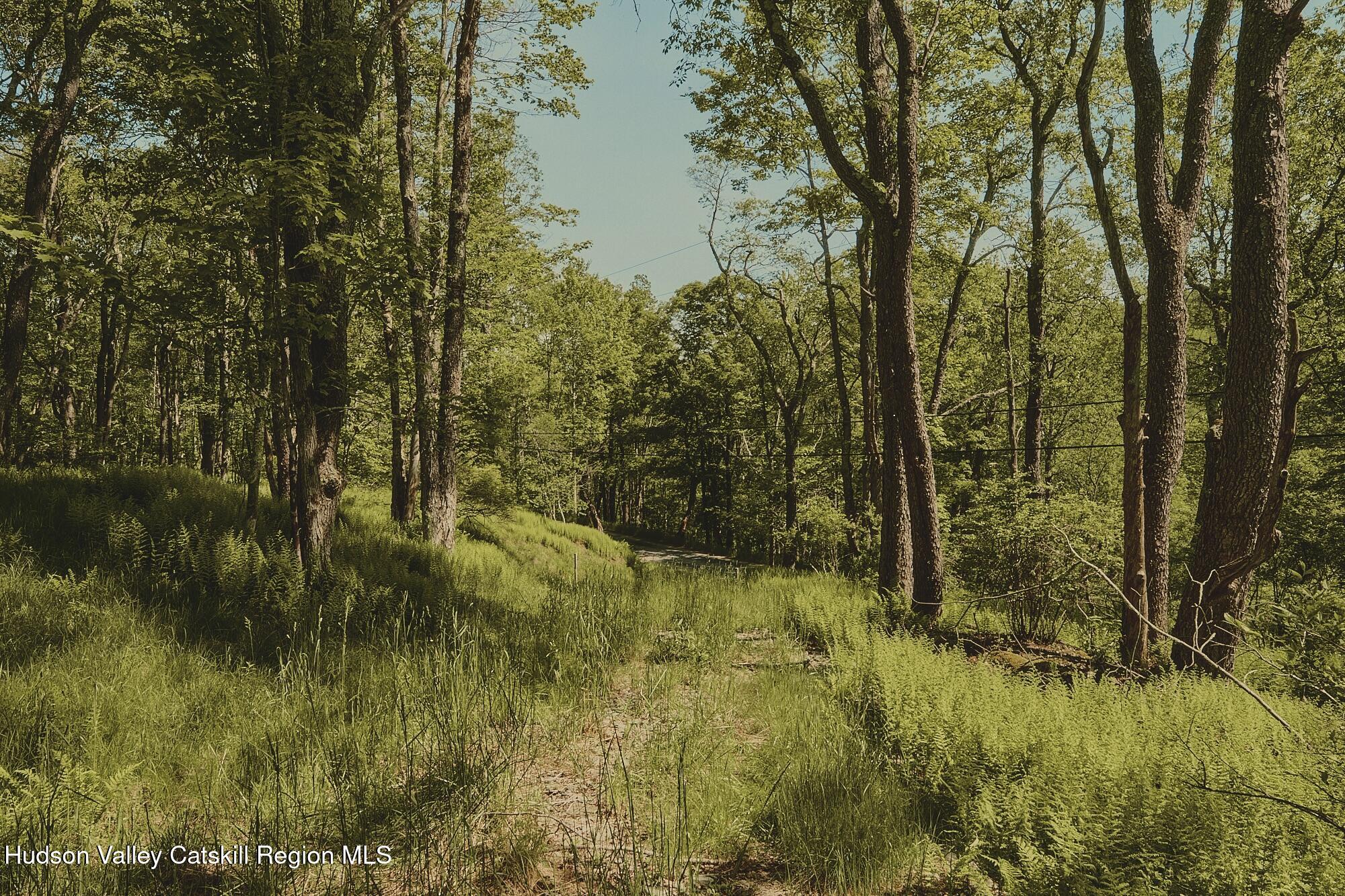 0 Benton Hollow Road Livingston Manor, NY 12758 - Photo 6 of 16 a view of outdoor space and trees