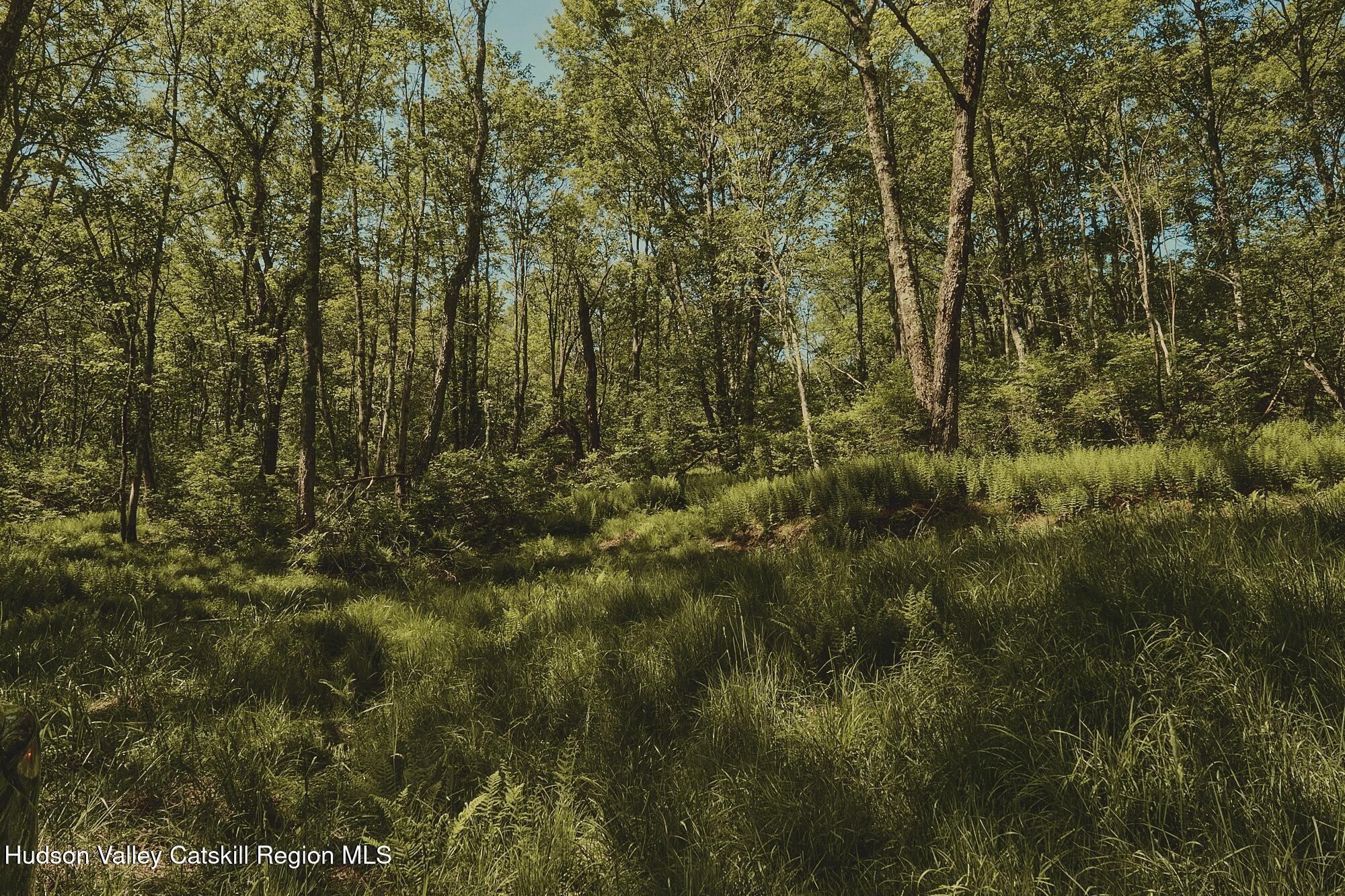 0 Benton Hollow Road Livingston Manor, NY 12758 - Photo 8 of 16