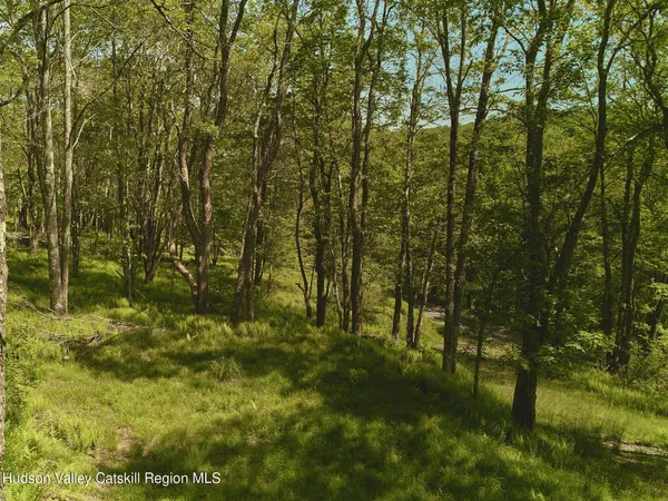 a view of a yard with trees