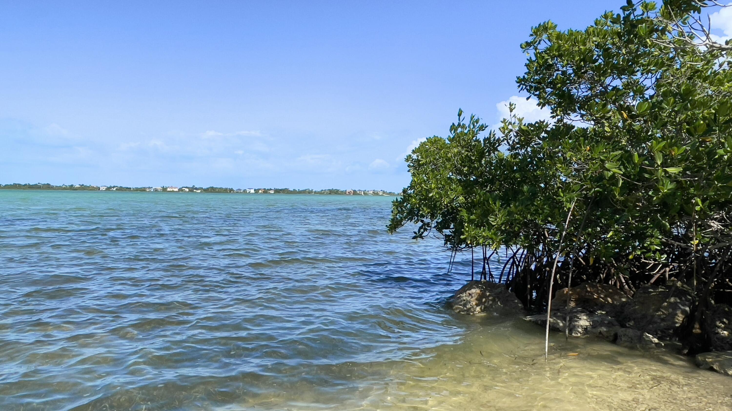 813 2nd Street Key West, FL 33040 - Photo 7 of 49 tempImaget4DjQl