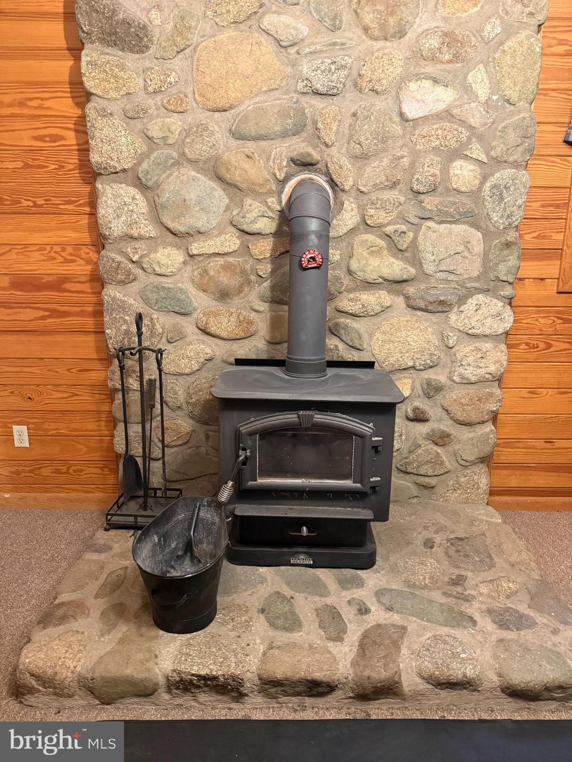 5185 Ridge Road Somerset, VA 22972 - Photo 16 of 17 Woodstove in Basement