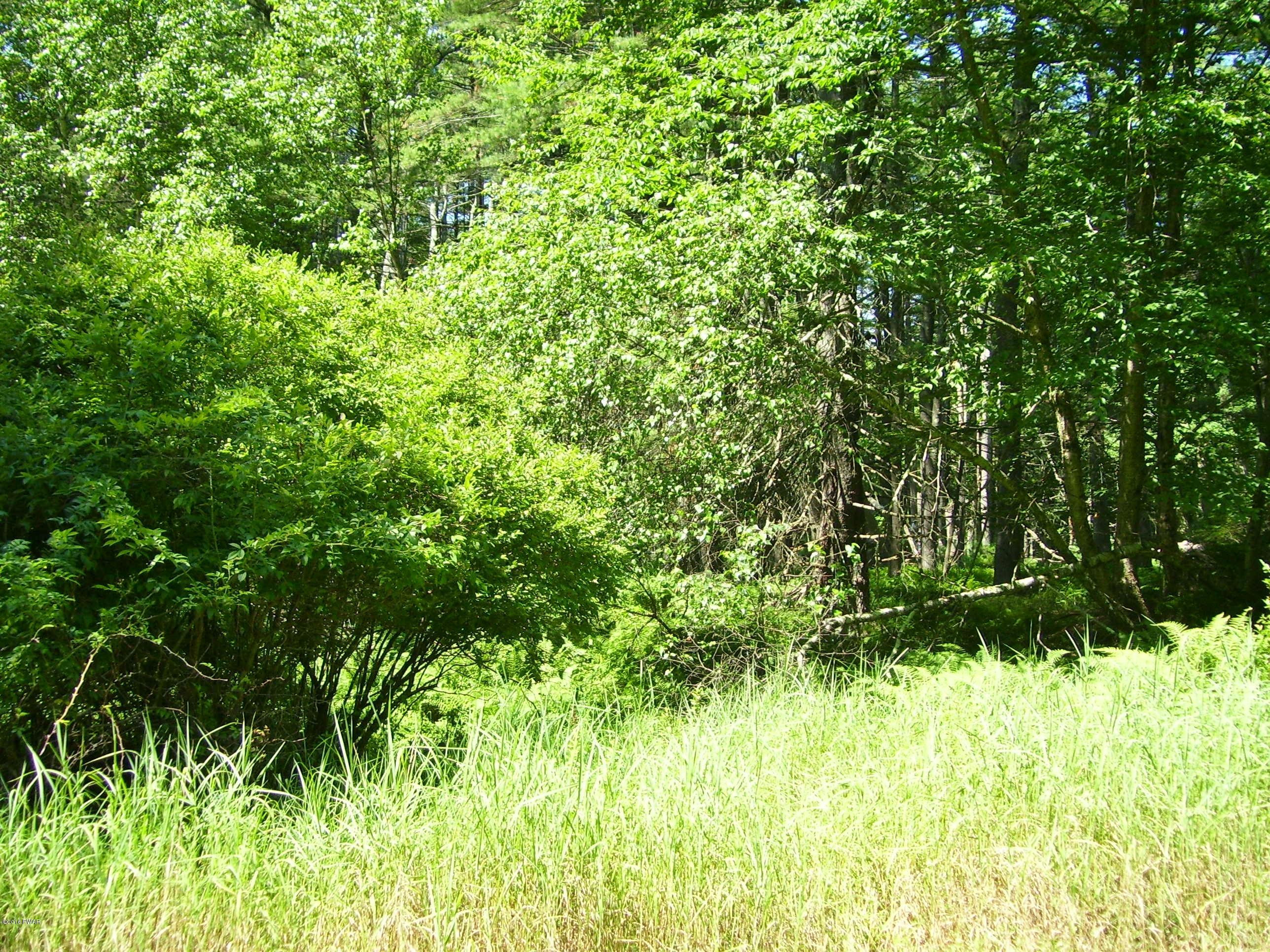 Lot #2 Rebels Road Hawley, PA 18428 - Photo 5 of 8