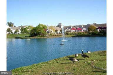 2457 Warm Spring Way Odenton, MD 21113 - Photo 22 of 29 Community lake
