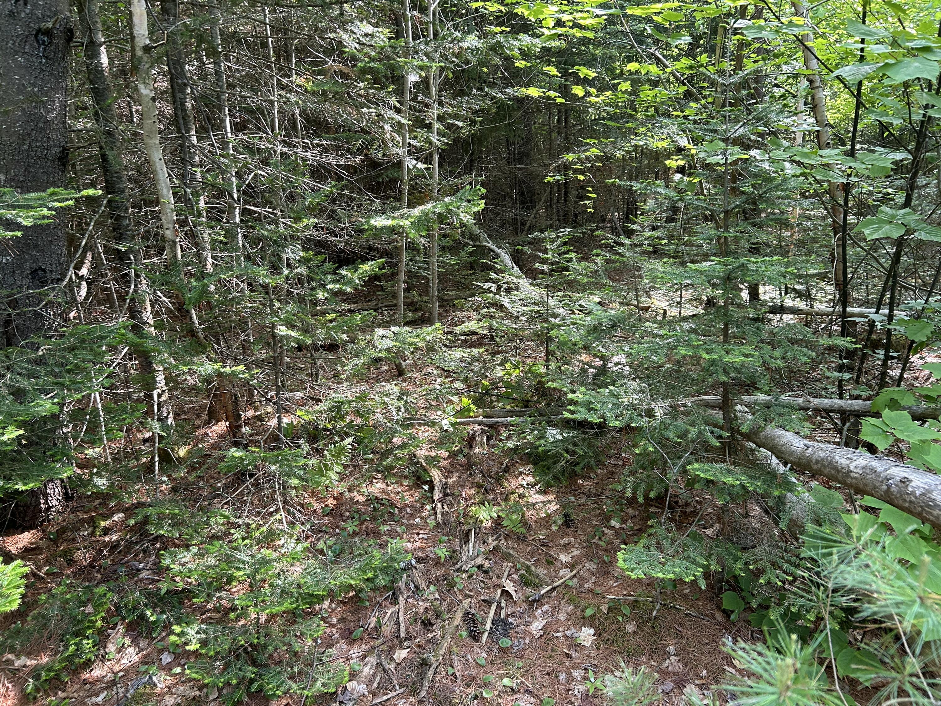 M5-l13 Clark Road Prospect, ME 04981 - Photo 17 of 33 IMG_8798