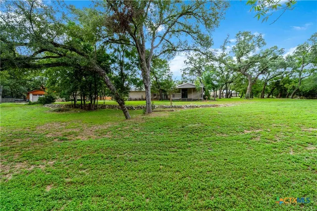 a view of a park with large trees