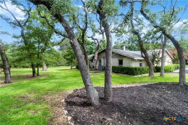 a view of a house with a yard and tree s