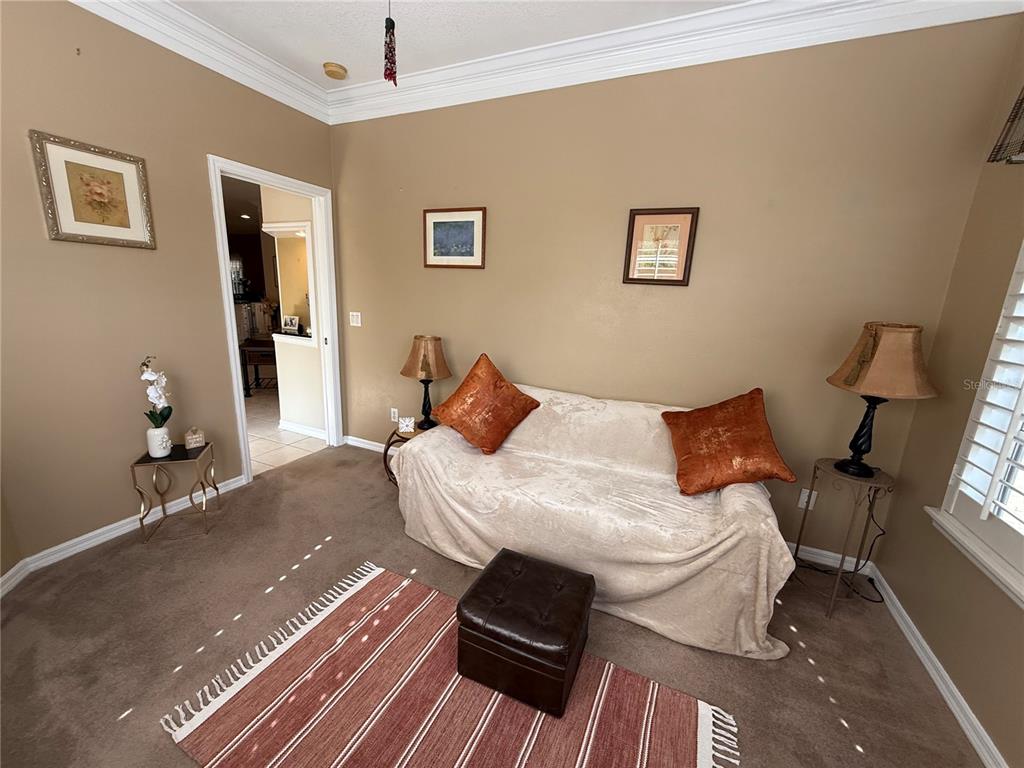 9049 St Andrews Way Mount Dora, FL 32757 - Photo 19 of 36