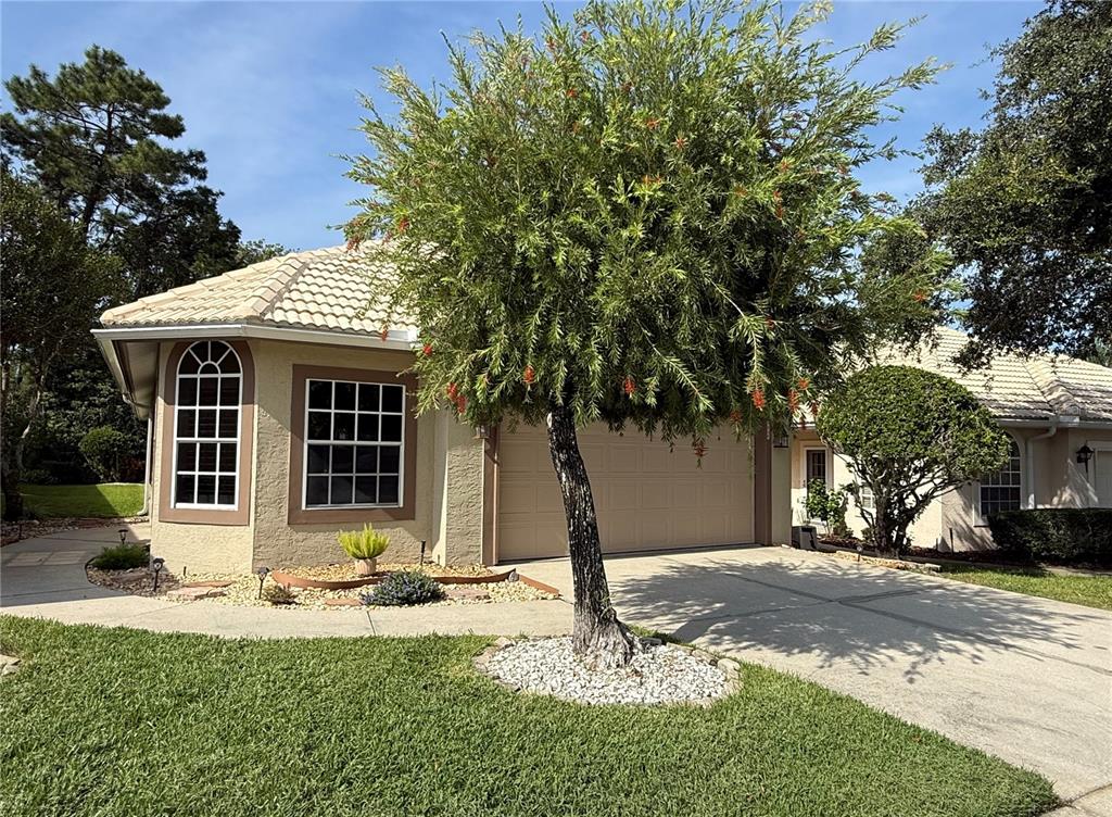 9049 St Andrews Way Mount Dora, FL 32757 - Photo 2 of 36