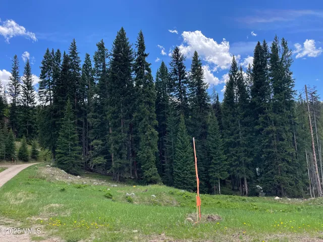 $150,000 | 1 8th, Eagle, CO 81631