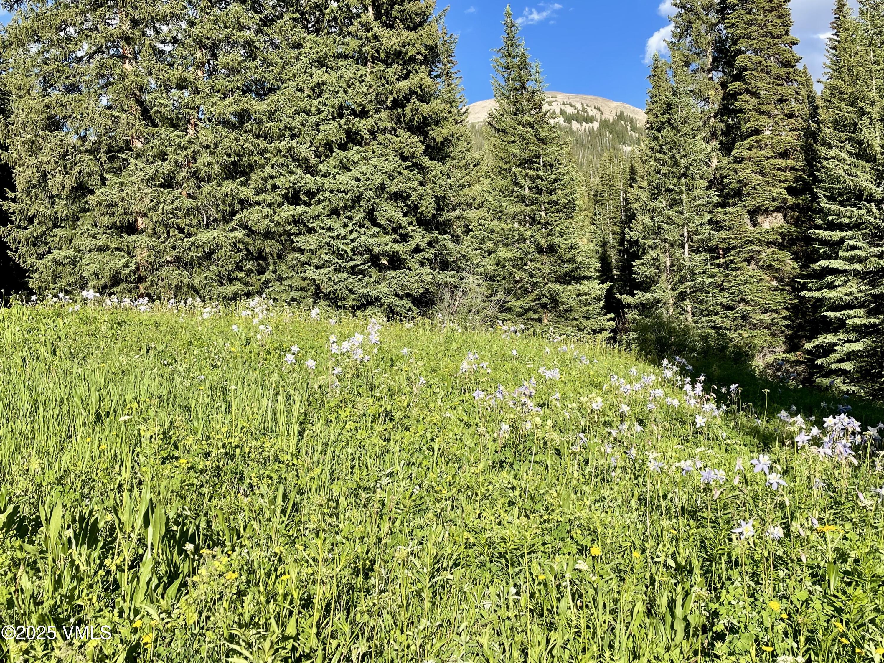 1 8th Eagle, CO 81631 - Photo 4 of 13
