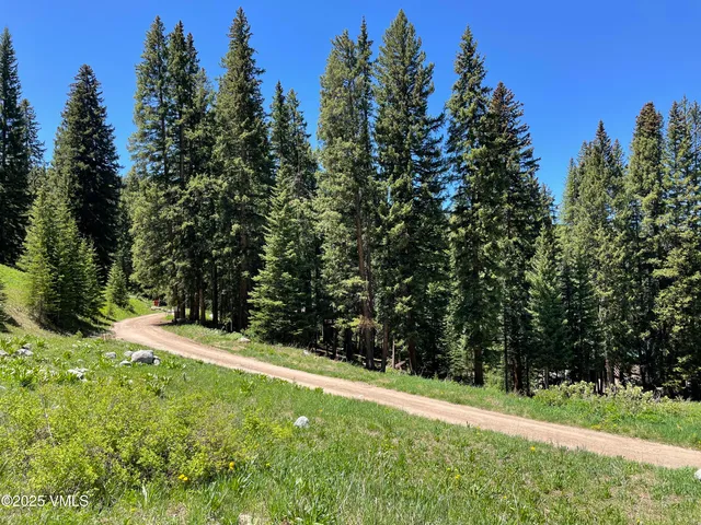 a view of a garden with trees